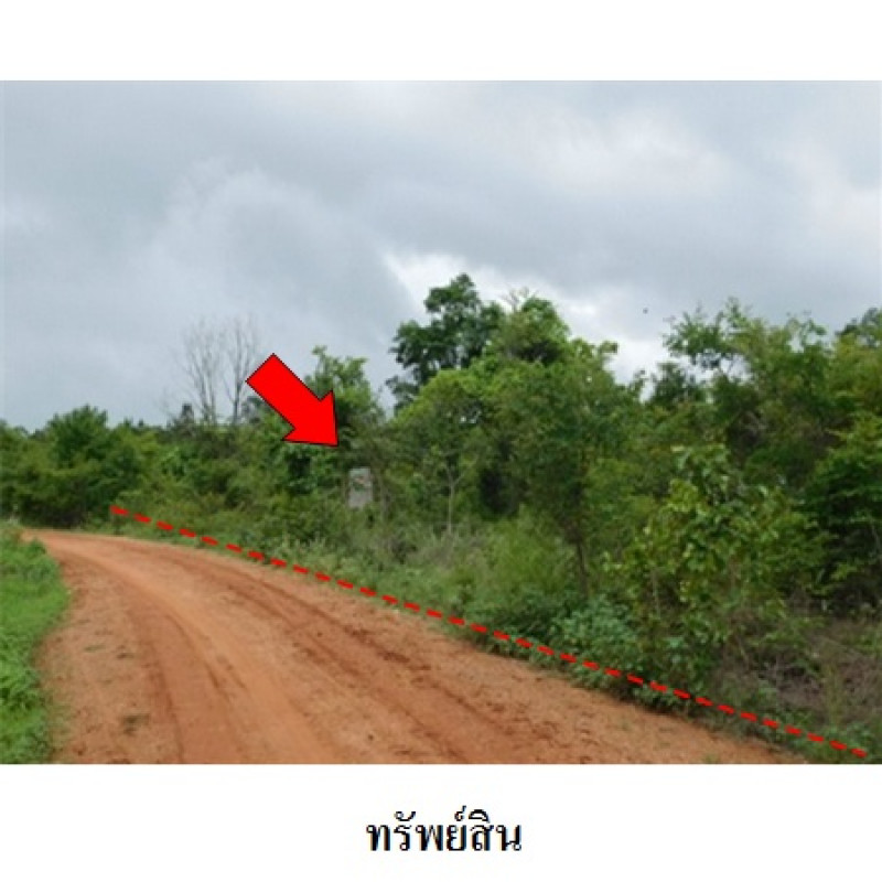 ที่ดินเปล่า ชัยภูมิ เมืองชัยภูมิ รอบเมือง 5628600