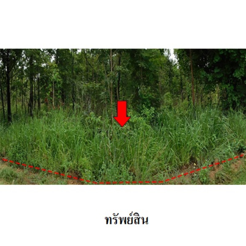 ที่ดินเปล่า ชัยภูมิ เมืองชัยภูมิ รอบเมือง 5628600