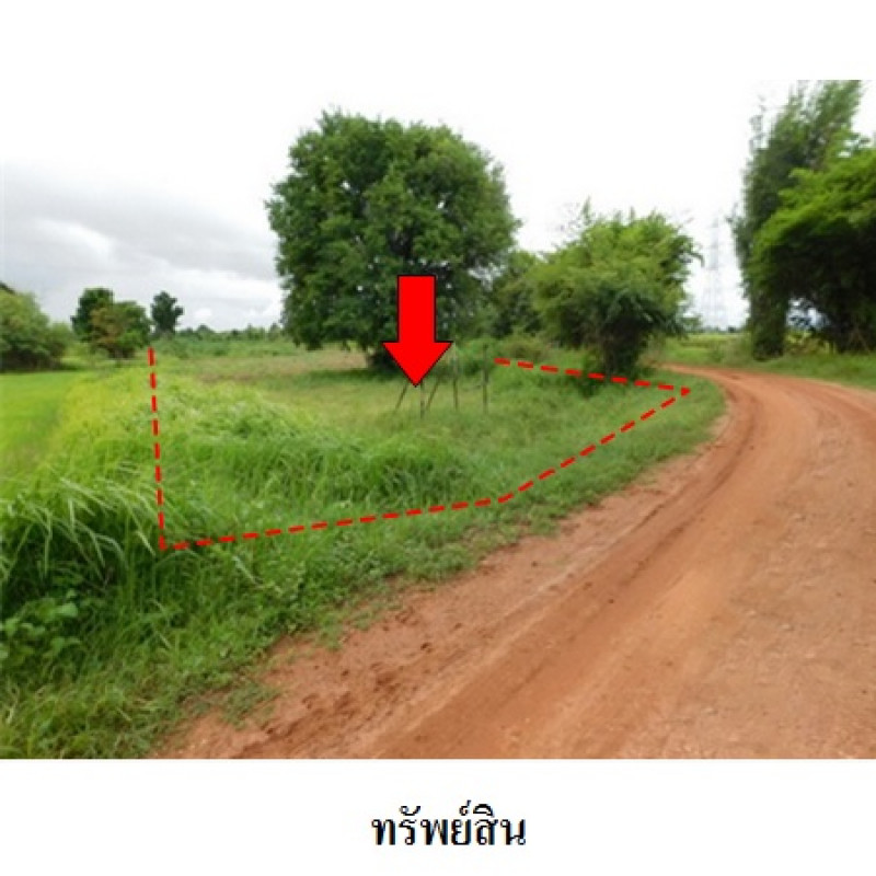 ที่ดินเปล่า ชัยภูมิ เมืองชัยภูมิ รอบเมือง 5628600