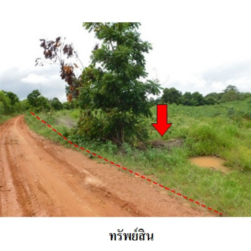 ที่ดินเปล่า ชัยภูมิ เมืองชัยภูมิ รอบเมือง 5628600