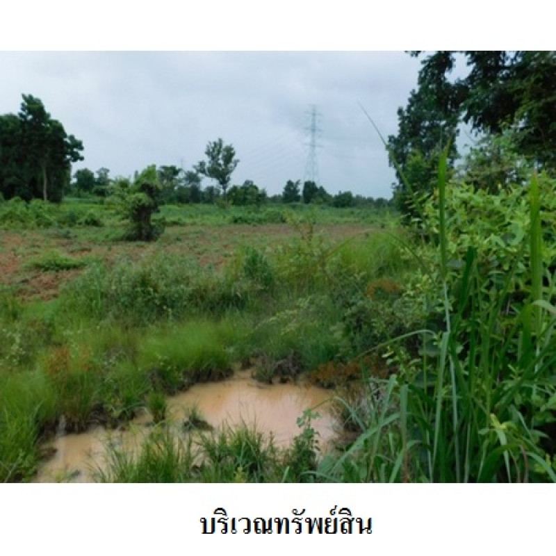 ที่ดินเปล่า ชัยภูมิ เมืองชัยภูมิ รอบเมือง 5628600
