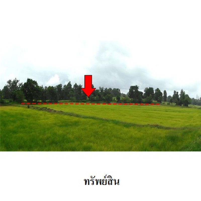 ที่ดินเปล่า ชัยภูมิ เมืองชัยภูมิ รอบเมือง 5628600