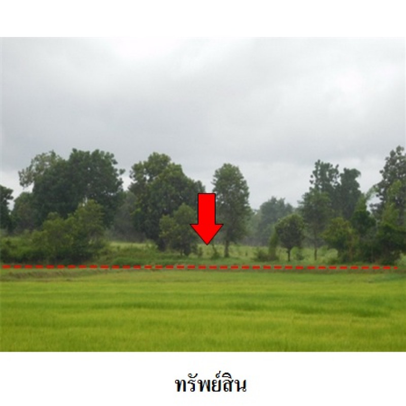 ที่ดินเปล่า ชัยภูมิ เมืองชัยภูมิ รอบเมือง 5628600