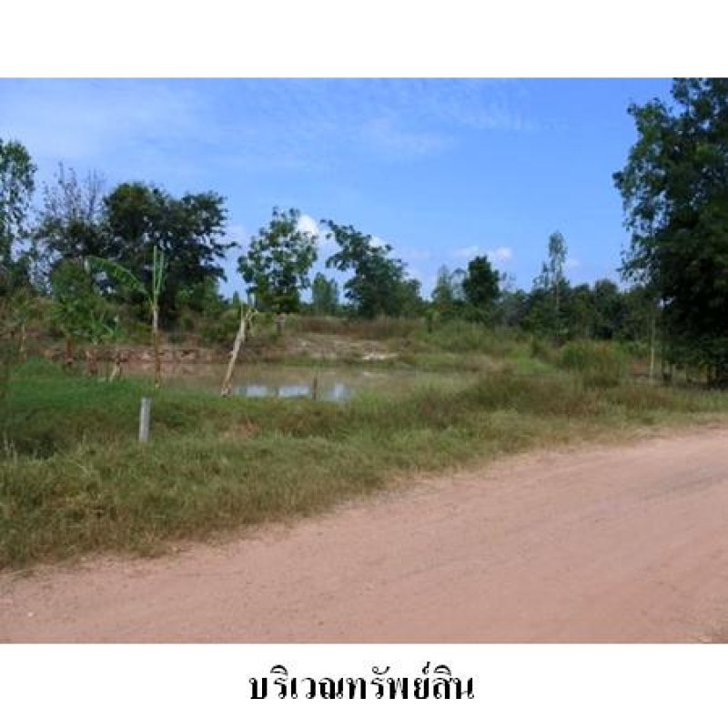 ที่ดินเปล่า ชัยภูมิ เมืองชัยภูมิ นาฝาย 2987000