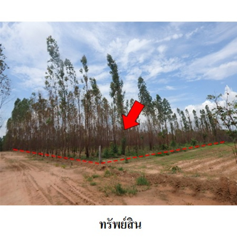 ที่ดินเปล่า ชัยภูมิ เมืองชัยภูมิ นาฝาย 2987000