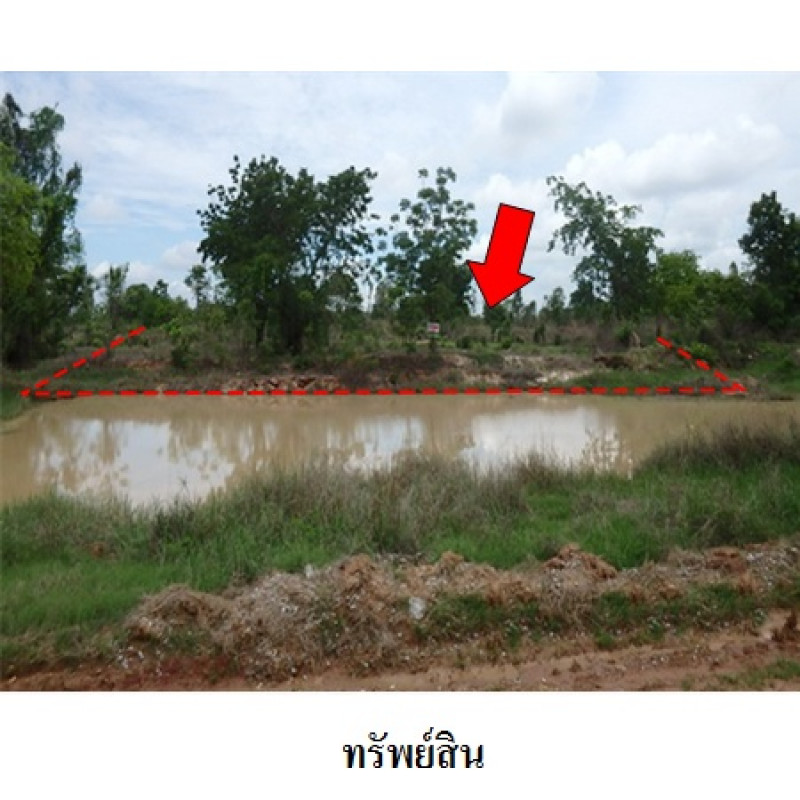 ที่ดินเปล่า ชัยภูมิ เมืองชัยภูมิ นาฝาย 2987000