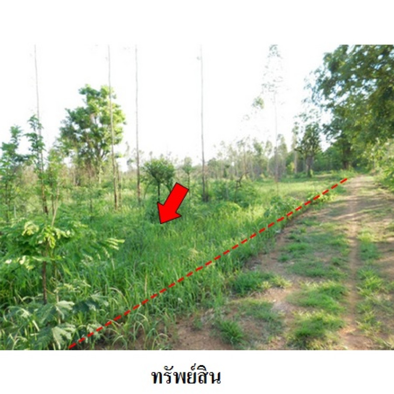 ที่ดินเปล่า ชัยภูมิ เมืองชัยภูมิ รอบเมือง 30900000