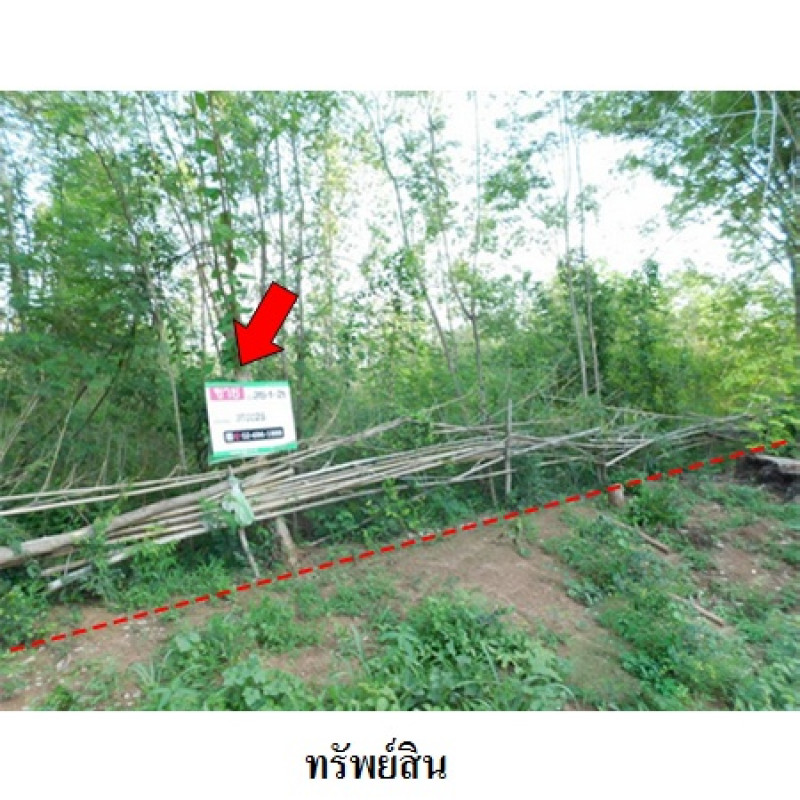 ที่ดินเปล่า ชัยภูมิ เมืองชัยภูมิ รอบเมือง 30900000