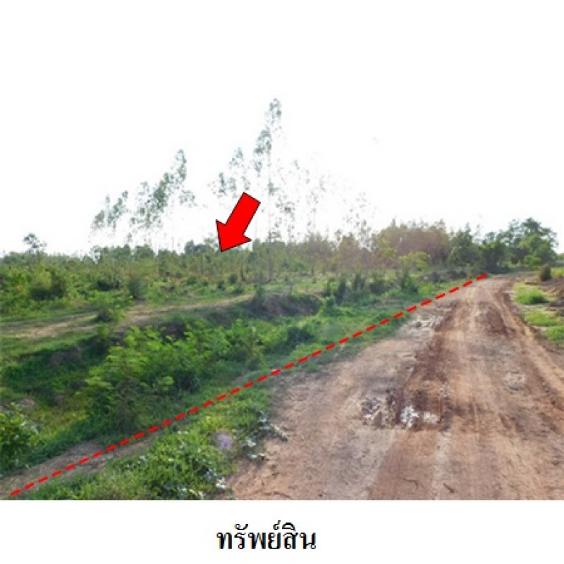 ที่ดินเปล่า ชัยภูมิ เมืองชัยภูมิ รอบเมือง 30900000