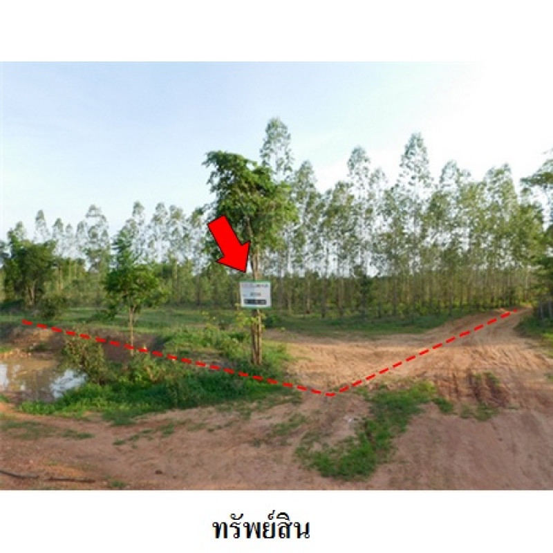 ที่ดินเปล่า ชัยภูมิ เมืองชัยภูมิ รอบเมือง 30900000
