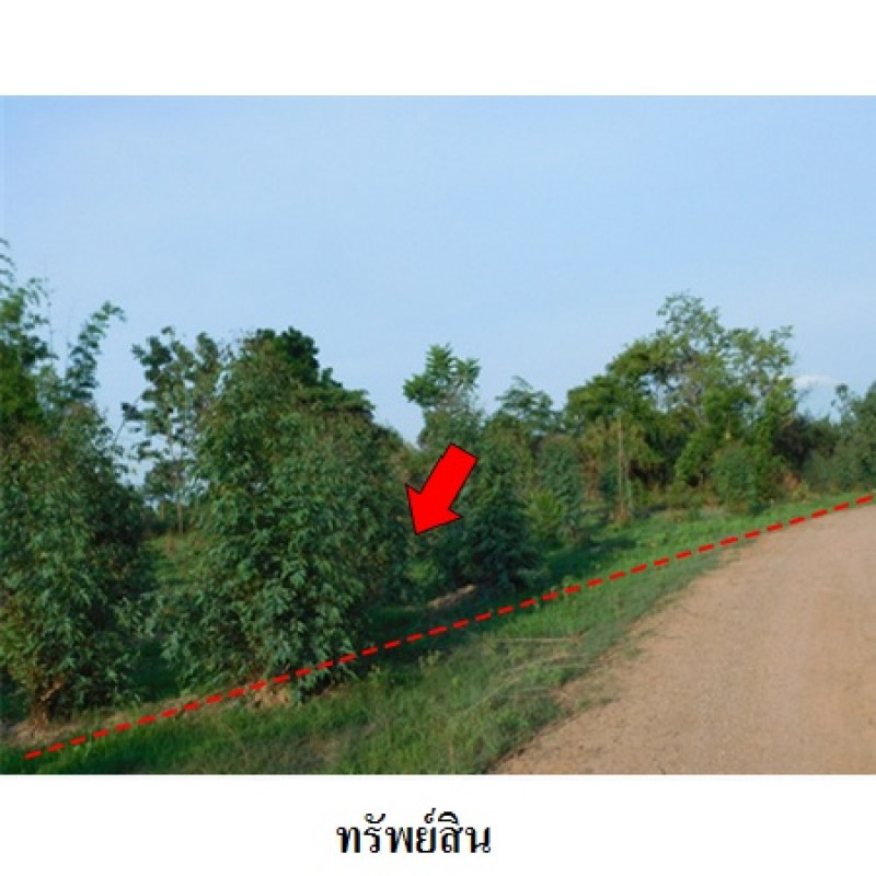 ที่ดินเปล่า ชัยภูมิ เมืองชัยภูมิ รอบเมือง 30900000