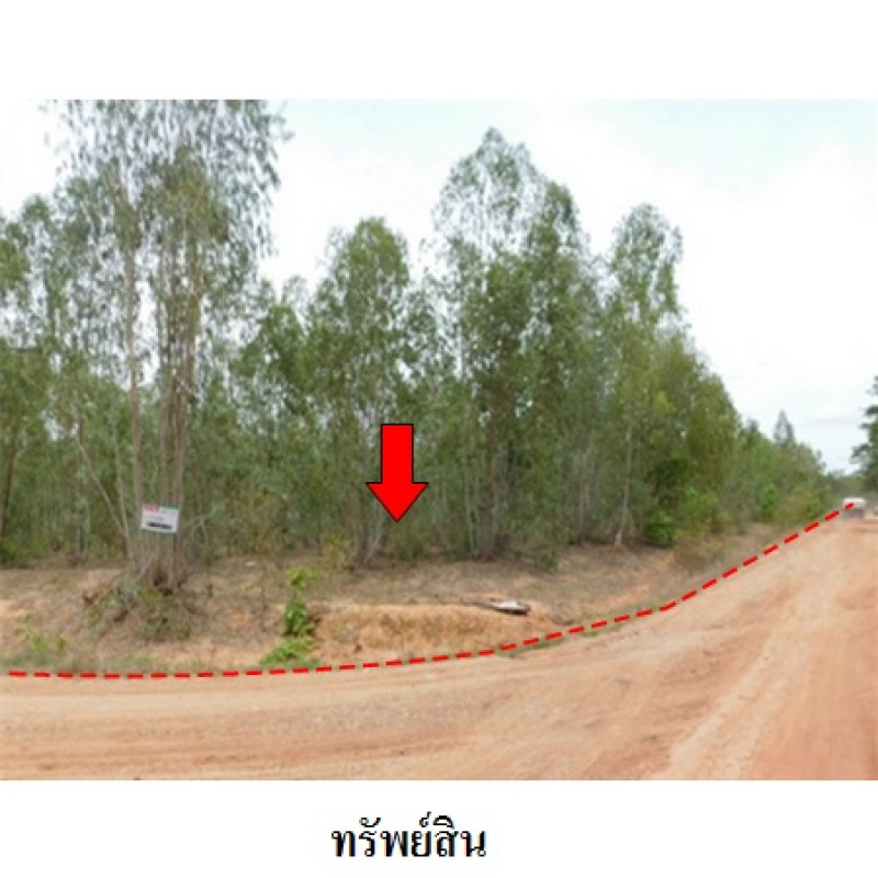 ที่ดินเปล่า ชัยภูมิ เมืองชัยภูมิ รอบเมือง 13540000