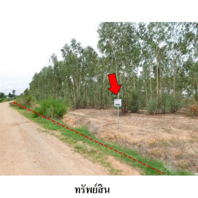 ที่ดินเปล่า ชัยภูมิ เมืองชัยภูมิ รอบเมือง 13540000