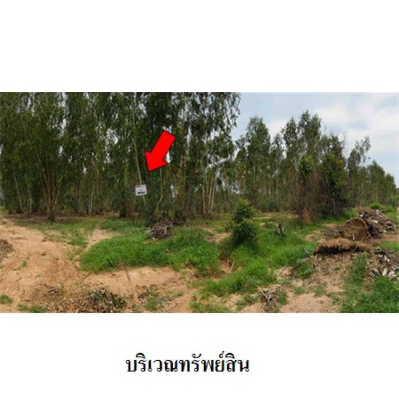 ที่ดินเปล่า ชัยภูมิ เมืองชัยภูมิ รอบเมือง 13540000