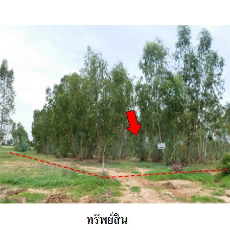 ที่ดินเปล่า ชัยภูมิ เมืองชัยภูมิ รอบเมือง 13540000
