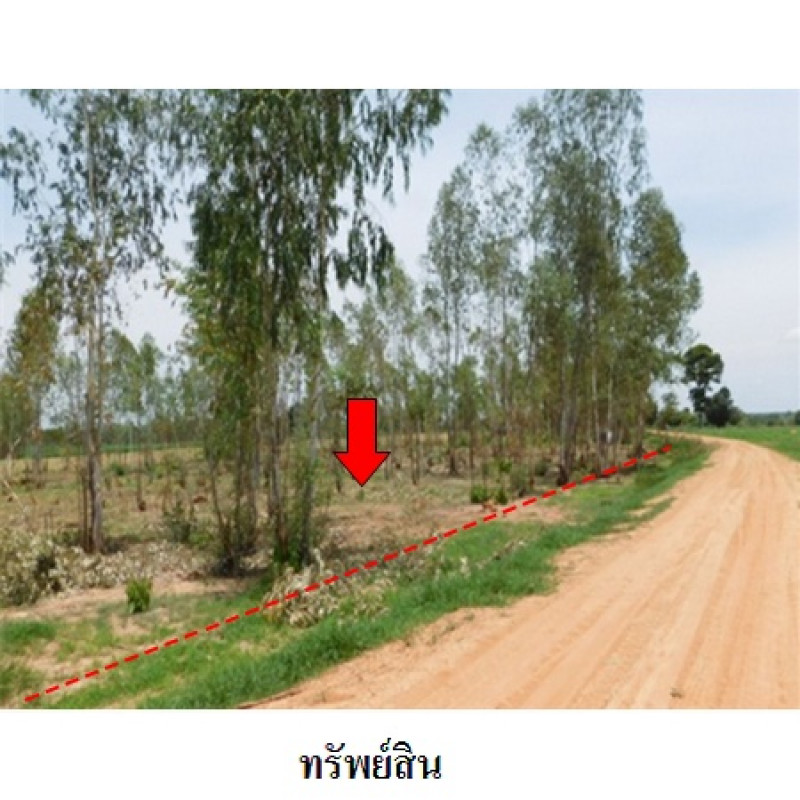ที่ดินเปล่า ชัยภูมิ เมืองชัยภูมิ รอบเมือง 13540000