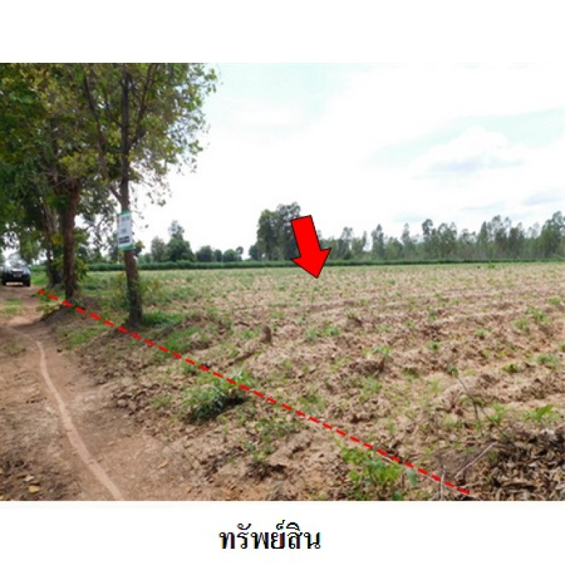 ที่ดินเปล่า ชัยภูมิ เมืองชัยภูมิ รอบเมือง 13540000