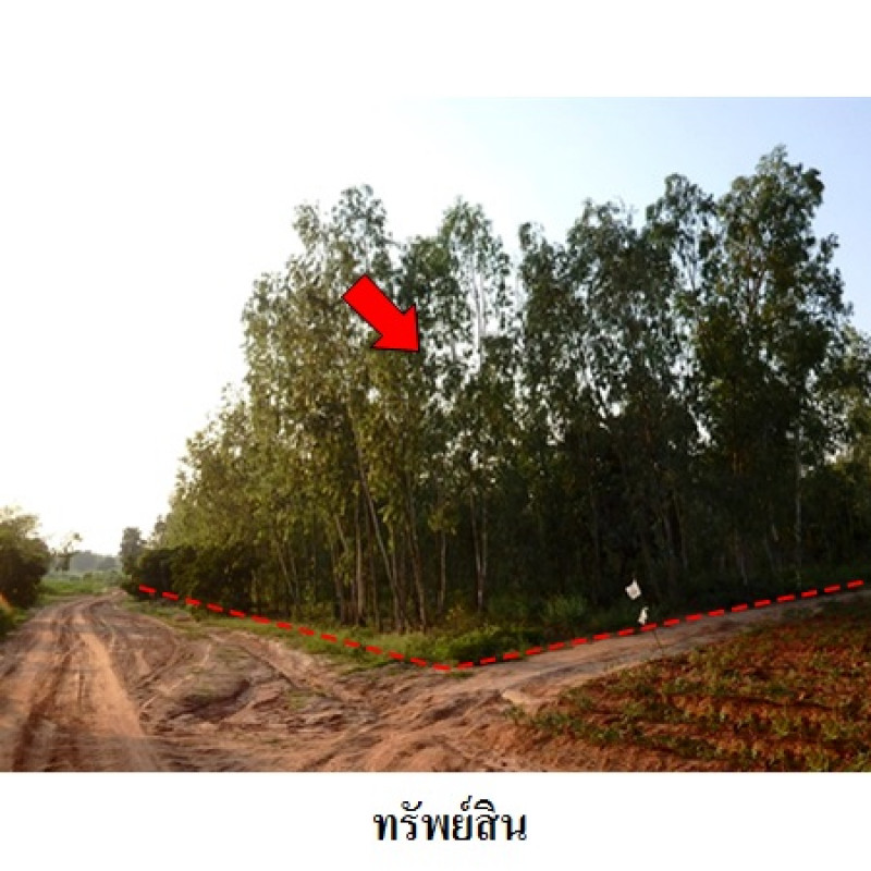 ที่ดินเปล่า ชัยภูมิ เมืองชัยภูมิ รอบเมือง 5960000