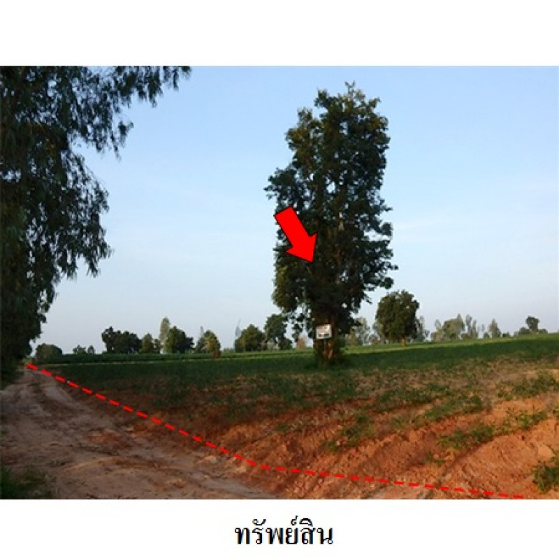 ที่ดินเปล่า ชัยภูมิ เมืองชัยภูมิ รอบเมือง 5960000