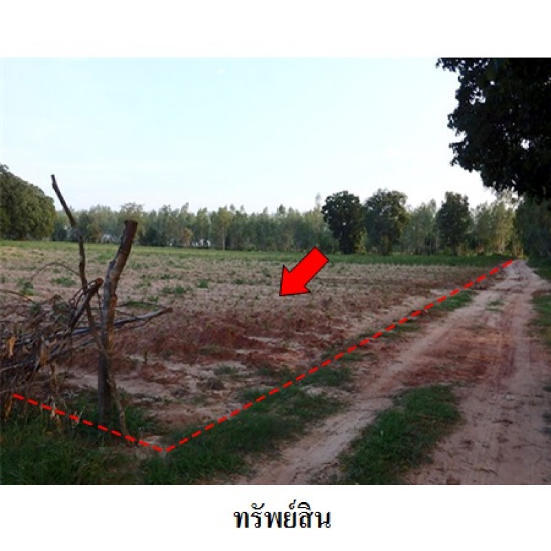 ที่ดินเปล่า ชัยภูมิ เมืองชัยภูมิ รอบเมือง 5960000