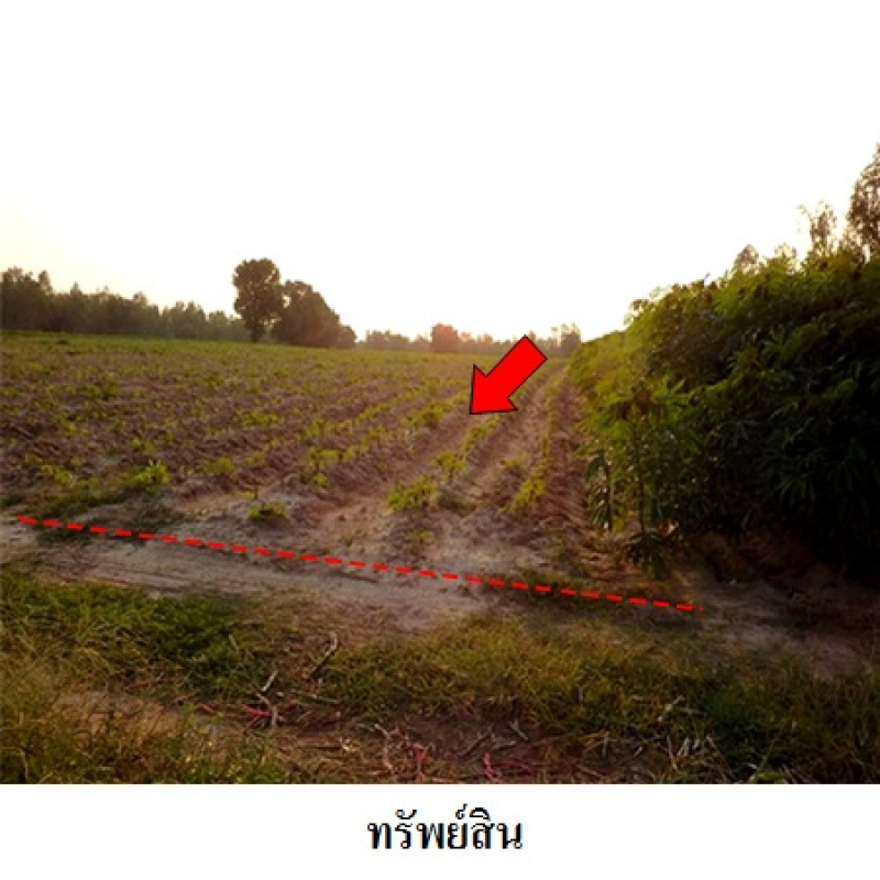 ที่ดินเปล่า ชัยภูมิ เมืองชัยภูมิ รอบเมือง 5960000