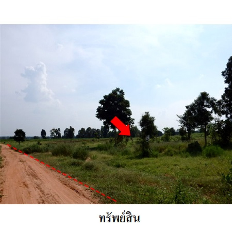 ที่ดินเปล่า ชัยภูมิ เมืองชัยภูมิ รอบเมือง 5390000