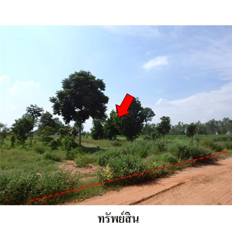 ที่ดินเปล่า ชัยภูมิ เมืองชัยภูมิ รอบเมือง 5390000