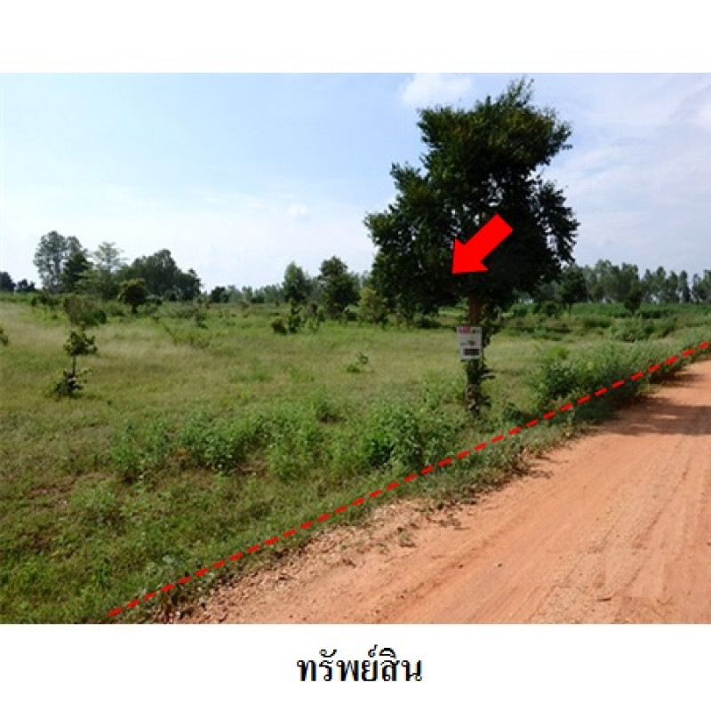 ที่ดินเปล่า ชัยภูมิ เมืองชัยภูมิ รอบเมือง 5390000
