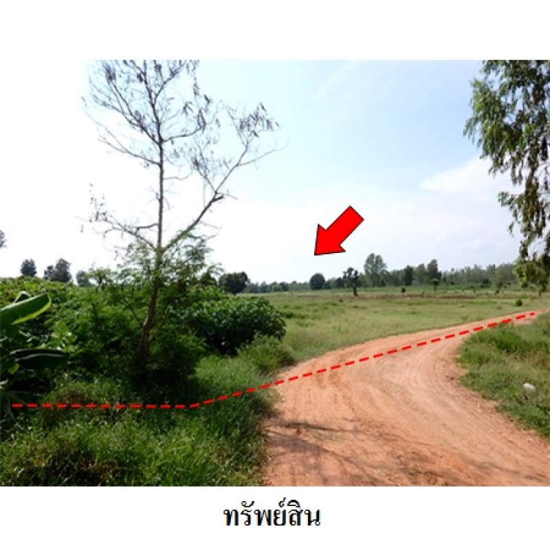 ที่ดินเปล่า ชัยภูมิ เมืองชัยภูมิ รอบเมือง 5390000