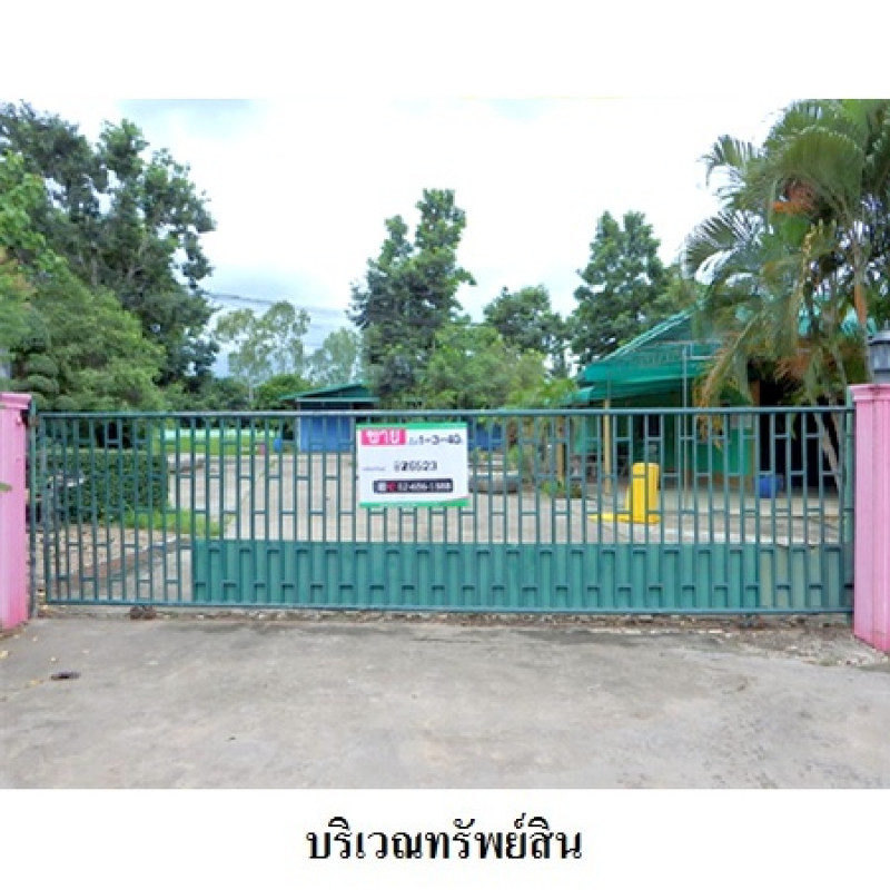 โรงงาน/โกดัง บึงกาฬ บึงกาฬ วิศิษฐ์ 3646200