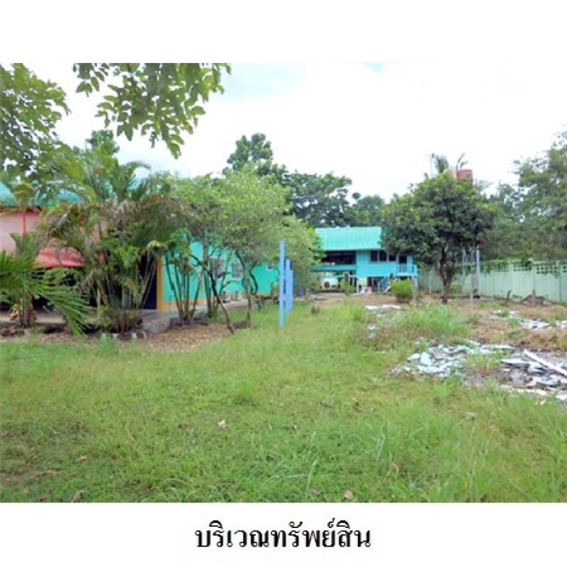 โรงงาน/โกดัง บึงกาฬ บึงกาฬ วิศิษฐ์ 3646200