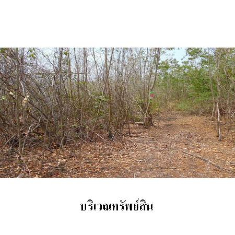 ที่ดินเปล่า วังแก้ว ปาร์คฮิลล์ รีสอร์ท สระบุรี วังม่วง วังม่วง 144000