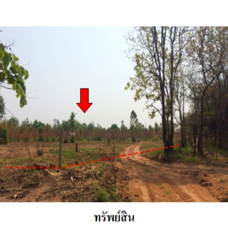 ที่ดินเปล่า ชัยภูมิ เมืองชัยภูมิ นาฝาย 12919000
