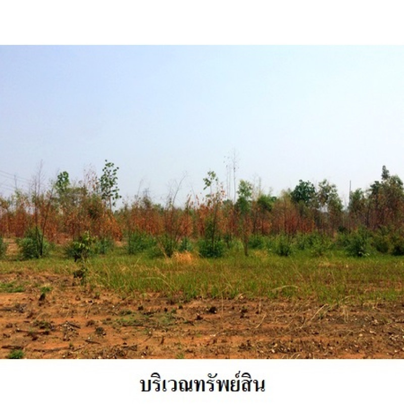 ที่ดินเปล่า ชัยภูมิ เมืองชัยภูมิ นาฝาย 12919000