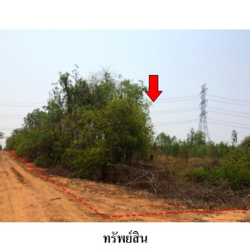 ที่ดินเปล่า ชัยภูมิ เมืองชัยภูมิ นาฝาย 12919000