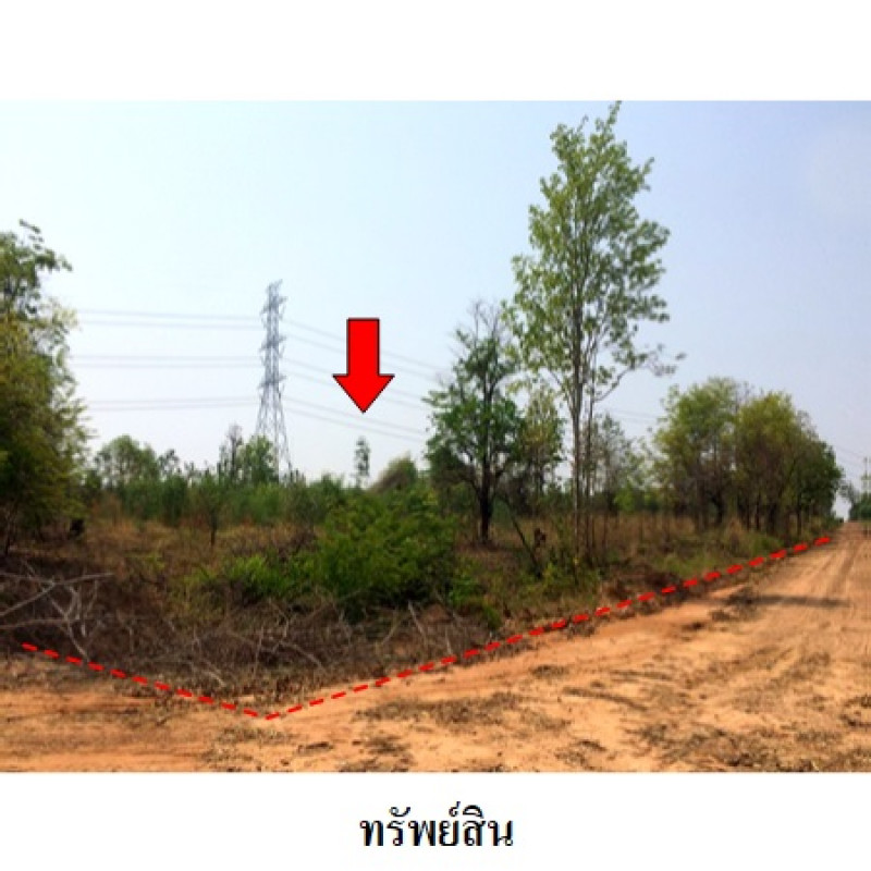 ที่ดินเปล่า ชัยภูมิ เมืองชัยภูมิ นาฝาย 12919000