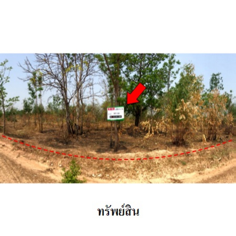 ที่ดินเปล่า ชัยภูมิ เมืองชัยภูมิ นาฝาย 12919000