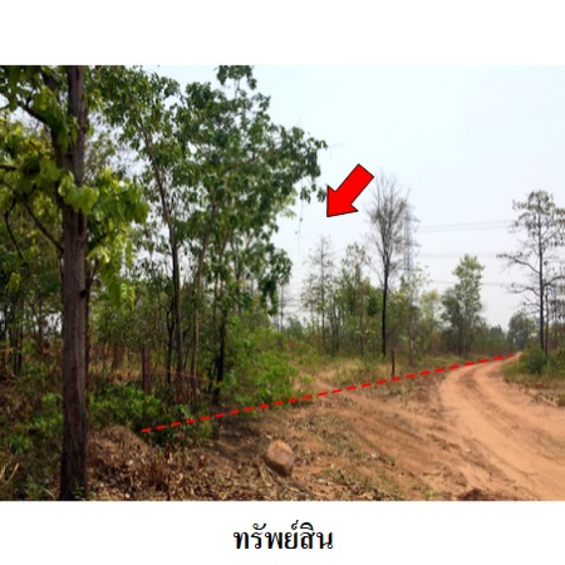 ที่ดินเปล่า ชัยภูมิ เมืองชัยภูมิ นาฝาย 12919000