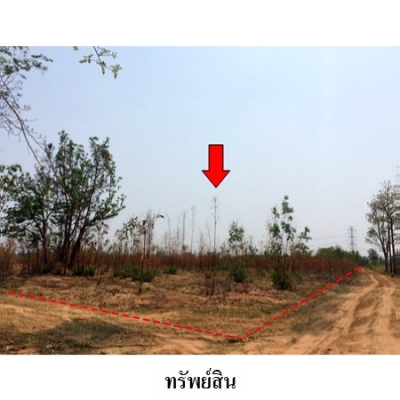 ที่ดินเปล่า ชัยภูมิ เมืองชัยภูมิ นาฝาย 12919000
