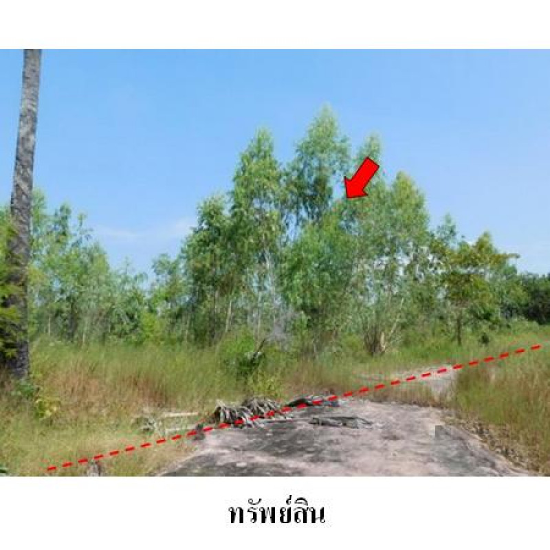 ที่ดินเปล่า ชัยภูมิ เมืองชัยภูมิ นาฝาย 1103500