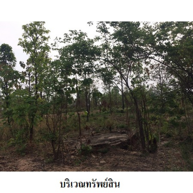 ที่ดินเปล่า ชัยภูมิ เมืองชัยภูมิ รอบเมือง 2169600