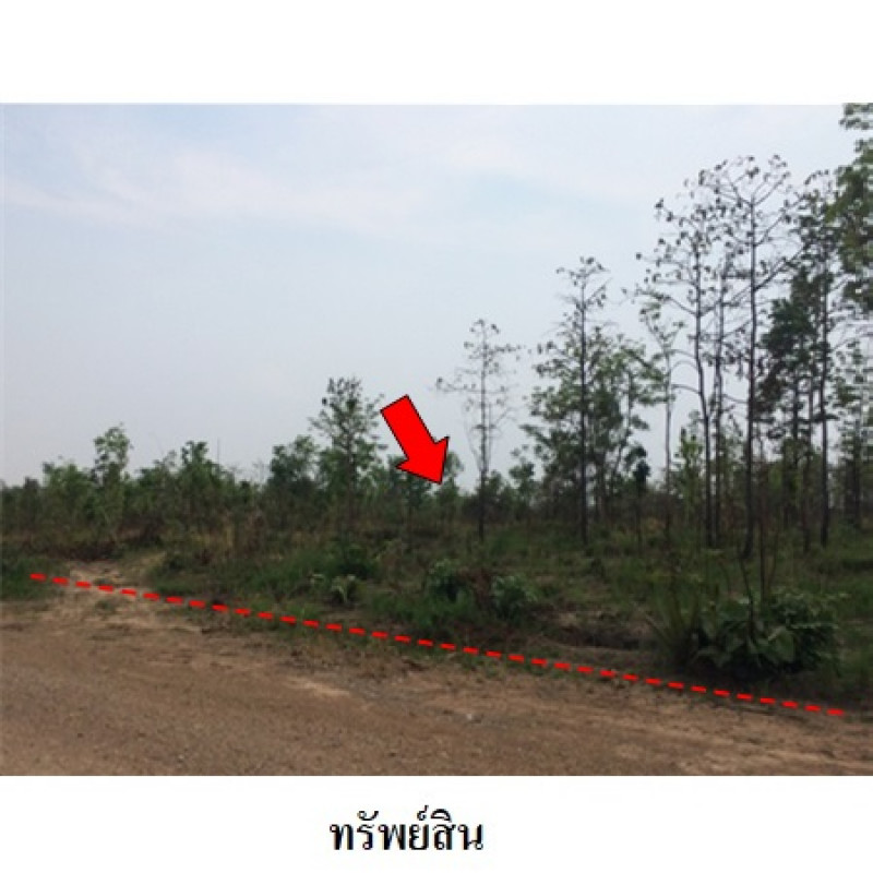 ที่ดินเปล่า ชัยภูมิ เมืองชัยภูมิ รอบเมือง 2169600