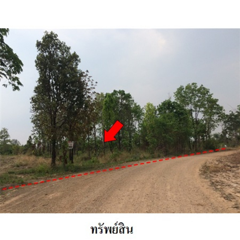 ที่ดินเปล่า ชัยภูมิ เมืองชัยภูมิ รอบเมือง 2169600