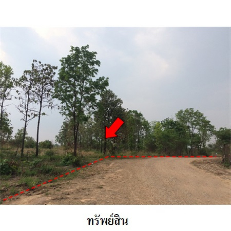 ที่ดินเปล่า ชัยภูมิ เมืองชัยภูมิ รอบเมือง 2169600
