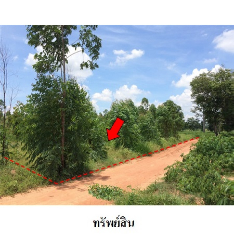 ที่ดินเปล่า ชัยภูมิ เมืองชัยภูมิ รอบเมือง 1973000