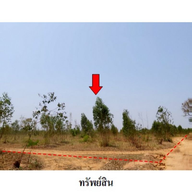 ที่ดินเปล่า ชัยภูมิ เมืองชัยภูมิ รอบเมือง 0