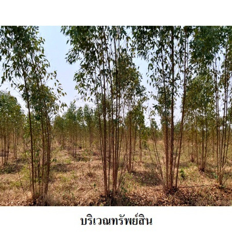 ที่ดินเปล่า ชัยภูมิ เมืองชัยภูมิ รอบเมือง 0
