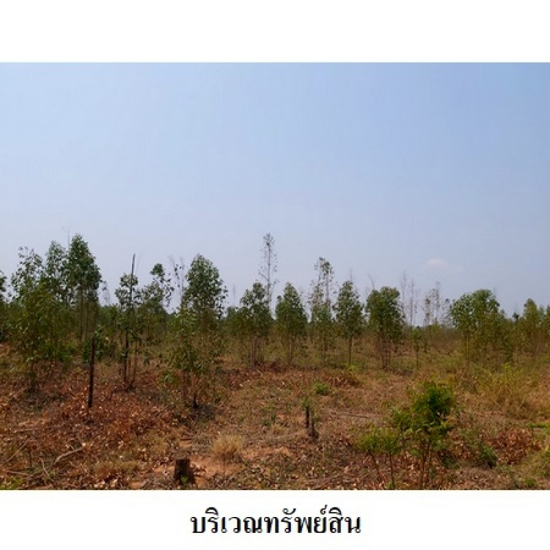 ที่ดินเปล่า ชัยภูมิ เมืองชัยภูมิ รอบเมือง 0