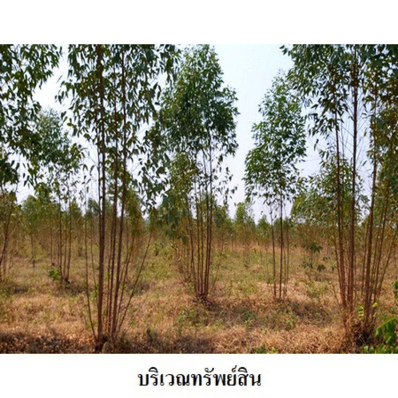 ที่ดินเปล่า ชัยภูมิ เมืองชัยภูมิ รอบเมือง 0