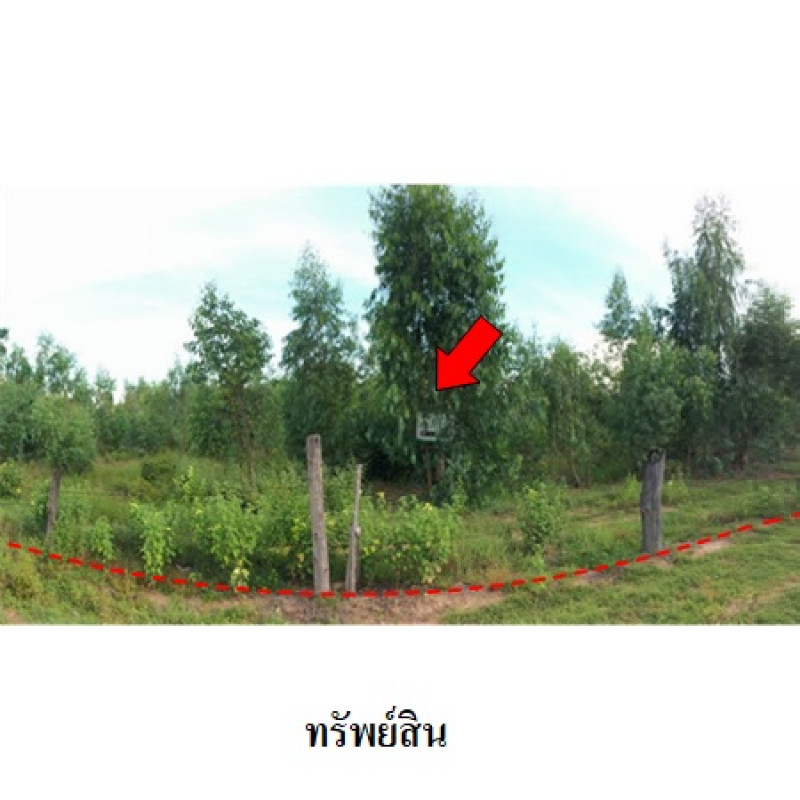 ที่ดินเปล่า ชัยภูมิ เมืองชัยภูมิ รอบเมือง 1980000